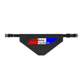 Buck Buick "Tennessee Pride" Pet Bandana Collar — For "My Ole Dog"